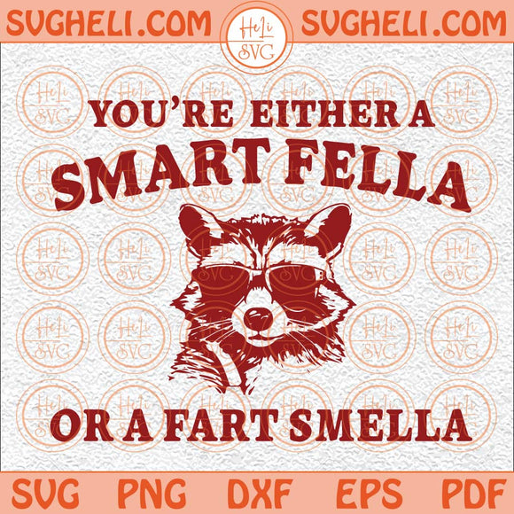 Are You A Smart Fella Or Fart Smella Svg Funny Trash Panda Svg Png Dxf Eps Files