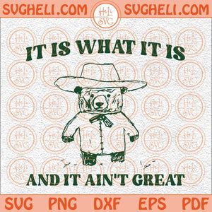 It Is What It Is And It Ain't Great Svg Funny Trash Panda Svg Png Dxf Eps Files