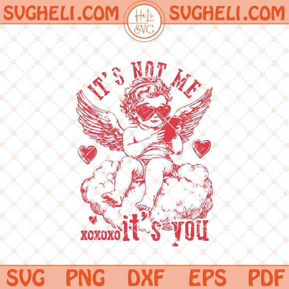 It's Not Me It's You Svg Anti Valentine's Day Svg Funny Vday Svg Png Dxf Eps Files