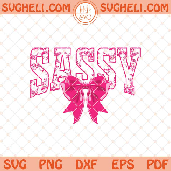 Sassy Floral Toile Pink Water Color Coquette Bow Svg Png Dxf Eps Files